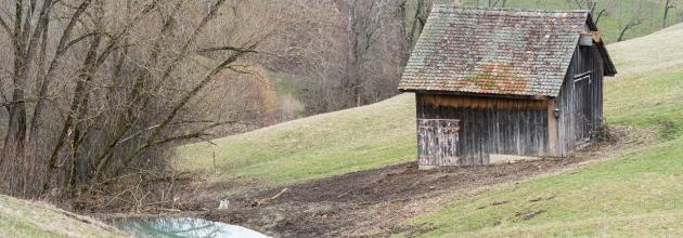 Weiher und Scheune Sülzmatt