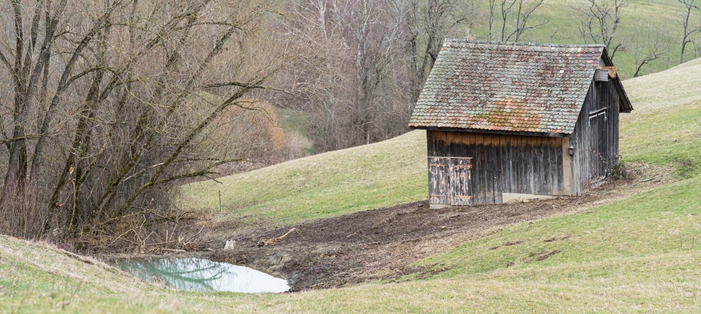 Weiher und Scheune Sülzmatt