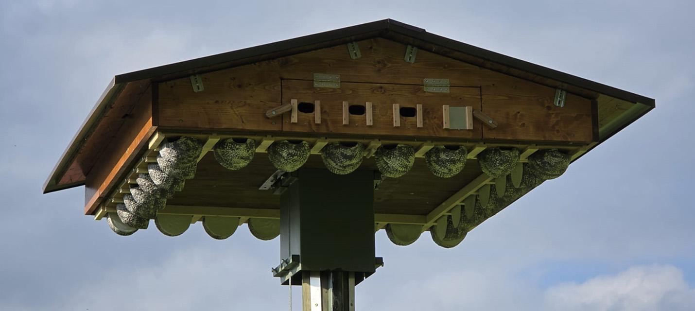 Schwalbenhaus im Baumgarten