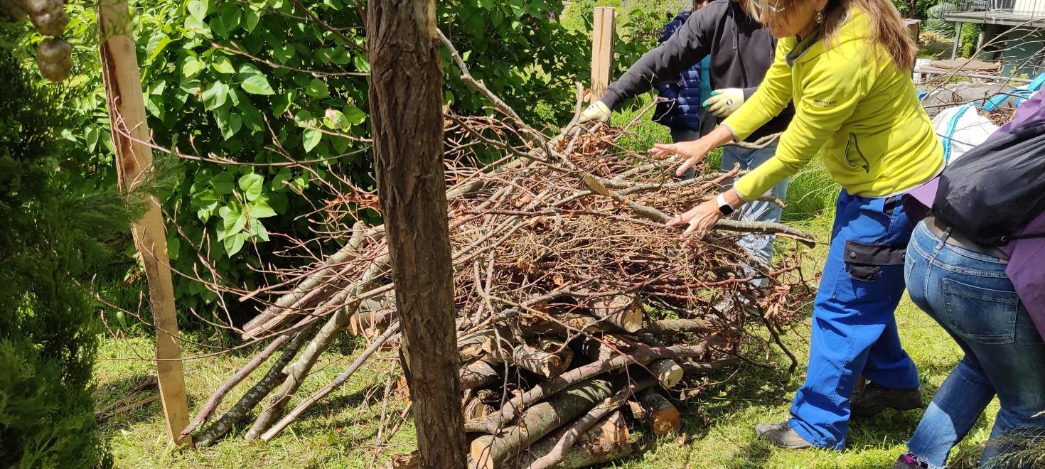 Asthaufen am Igelkurs